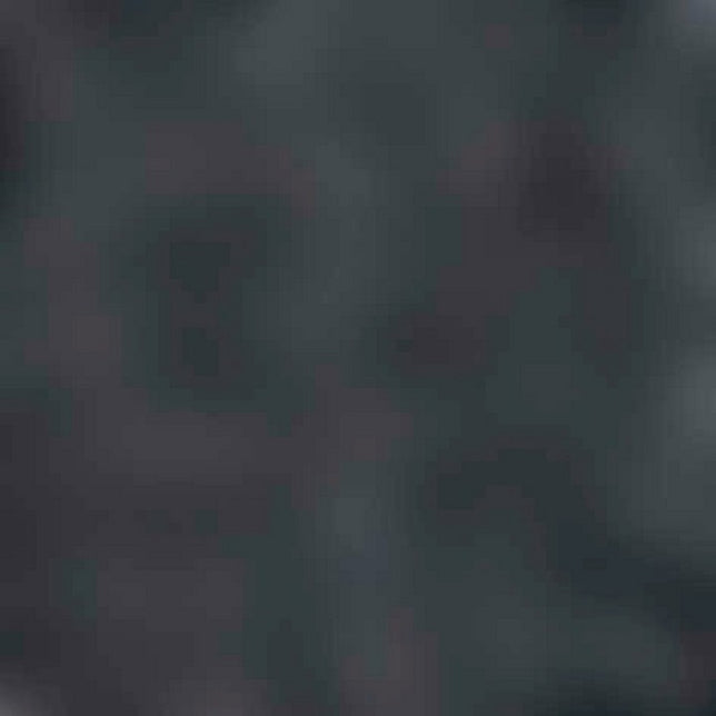 Teppich im schuh 14402