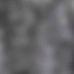 Teppich im schuh 14402