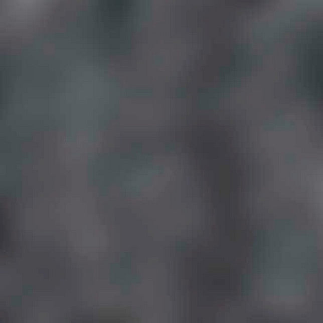 Teppich im schuh 14402