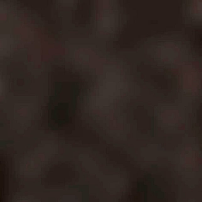 Teppich im schuh 14402