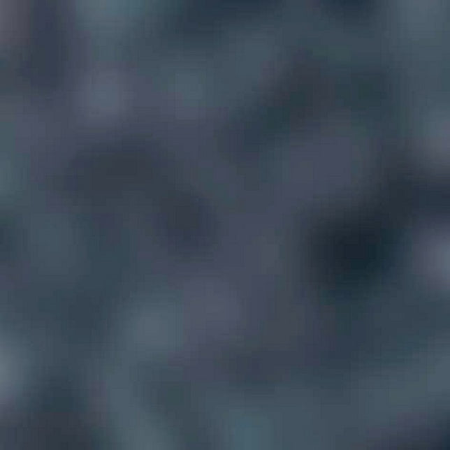 Teppich im schuh 14402