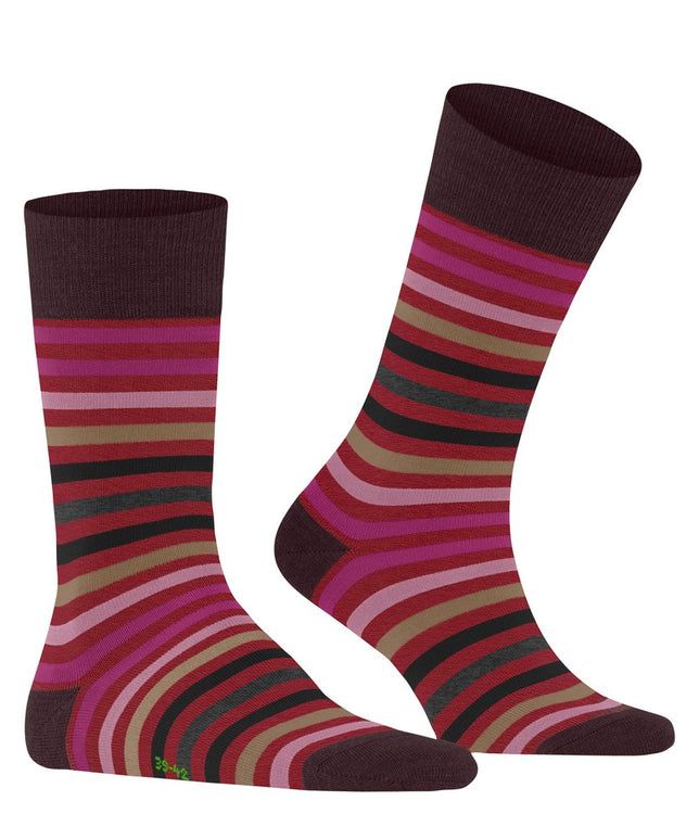 TintedStripeSO13279_8077ingle_4