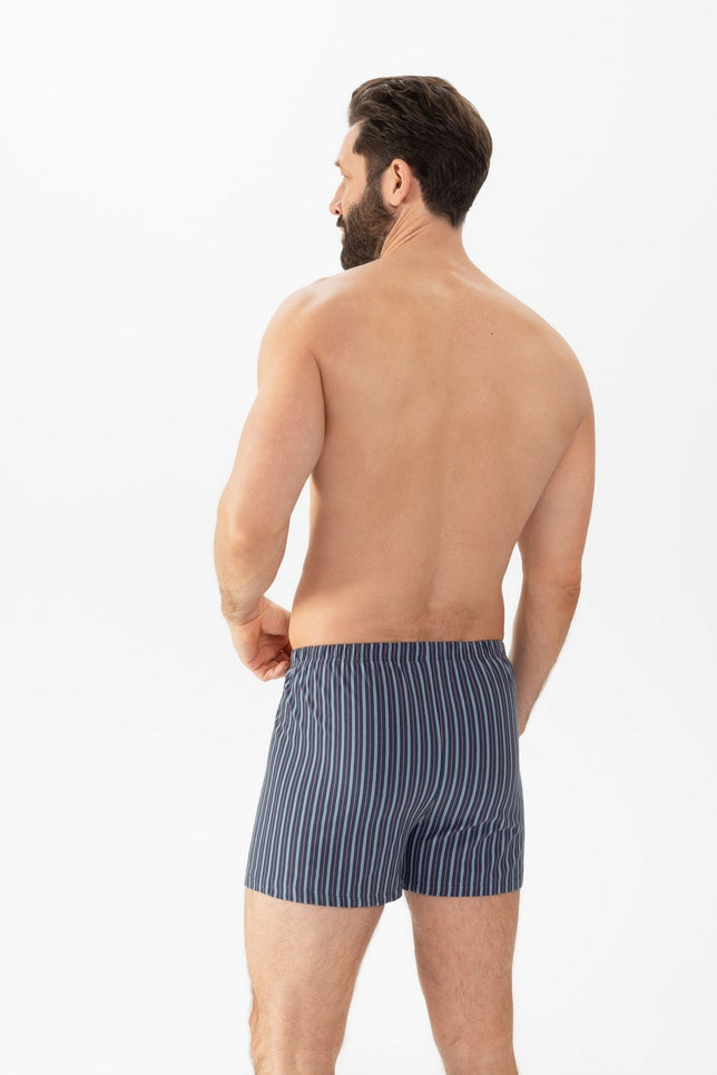 boxershort2120026_1159blueslate_3