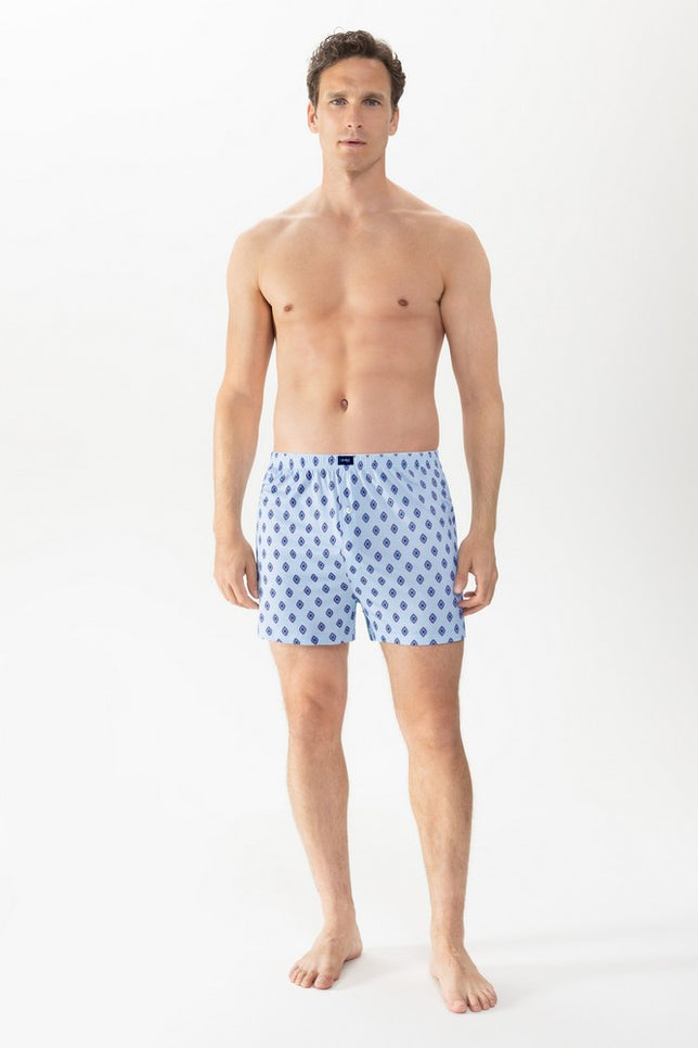 boxershort2120069_1252bluehaze_3