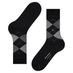 EdinburghSO21125_5039sun_3