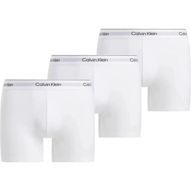 Boxer Brief Icon 3-Pack LV00NB4394