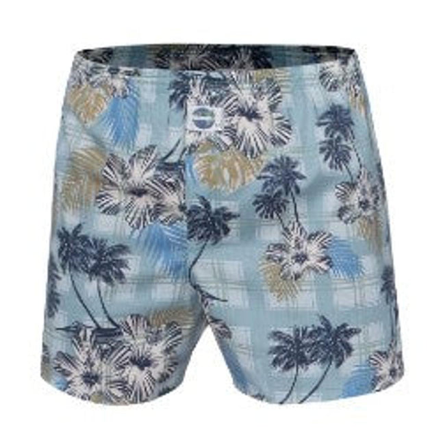 Deal Heren Boxer Hawaii Check 100% C 192054 - Jambelles