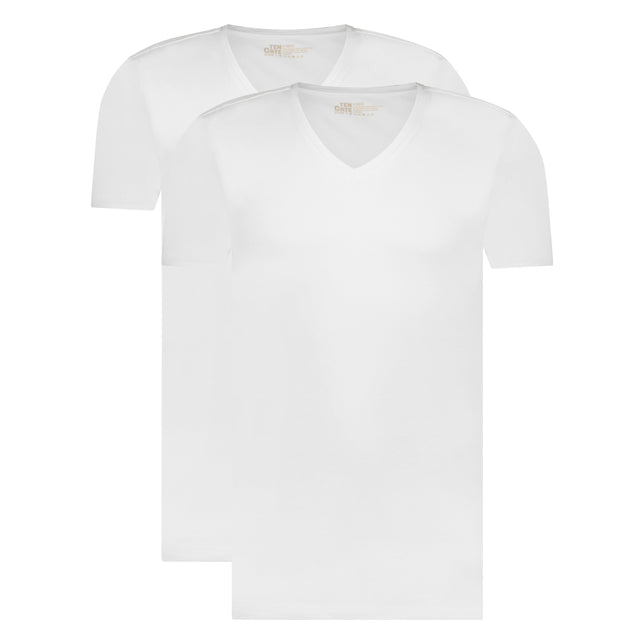 Ten Cate Heren Basics organic cotton V-Hals T-shirt 2-pack 32325