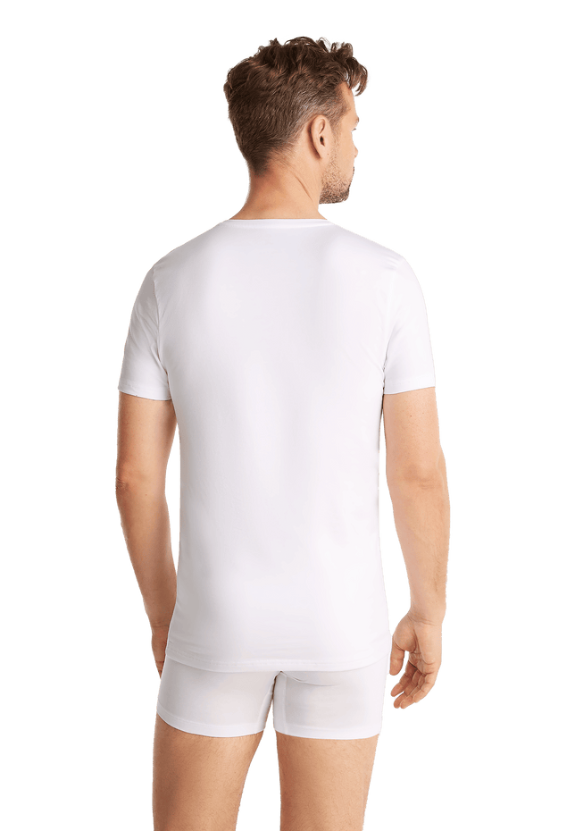 Ten Cate Heren Basics organic cotton V-Hals T-shirt 2-pack 32325