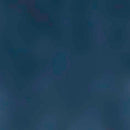 Falke Dames &amp; Heren Voetjes Sokken Cool Kick Invisible 16601 - Jambelles