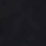 Falke Dames Voetjes Step IN Sneaker 47577 - Jambelles