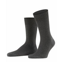 Falke Heren Sokken BRISTOL CLASSIC 14415 - Jambelles