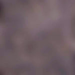 Falke Heren Sokken Family SO 14645 - Jambelles