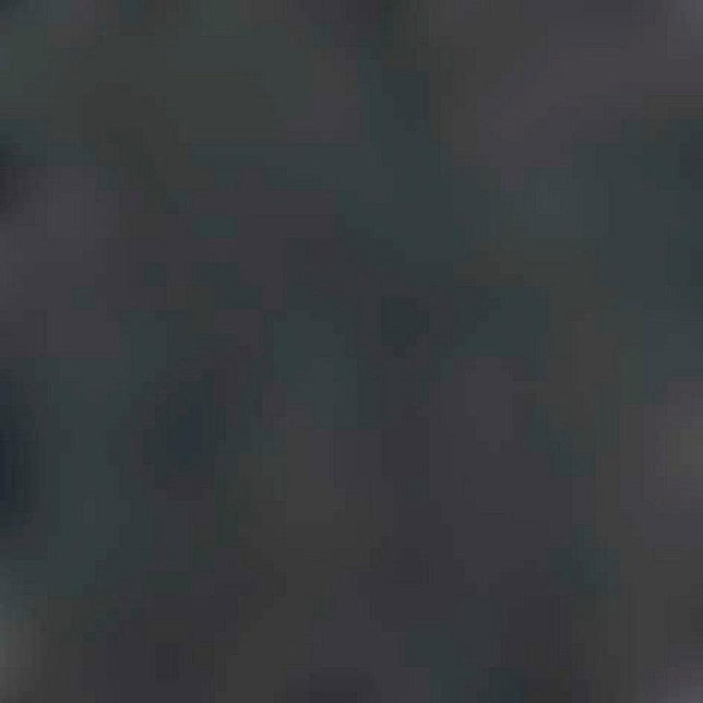 Falke Heren Sokken Family SO 14645 - Jambelles