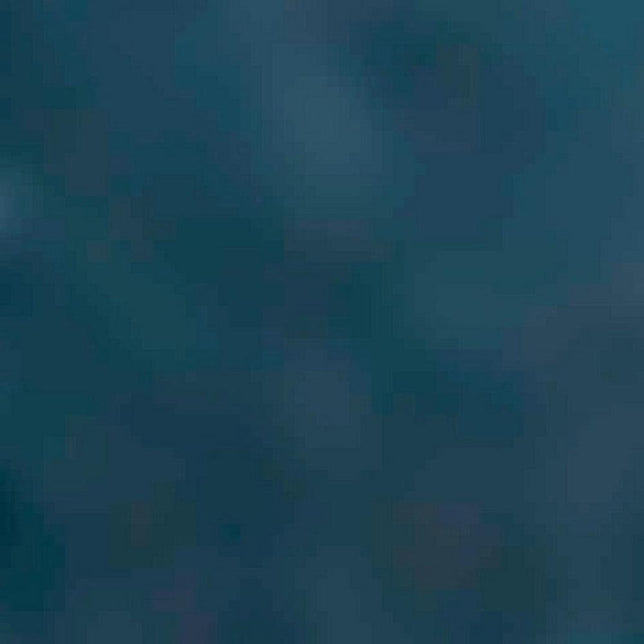 Falke Heren Sokken Family SO 14645 - Jambelles