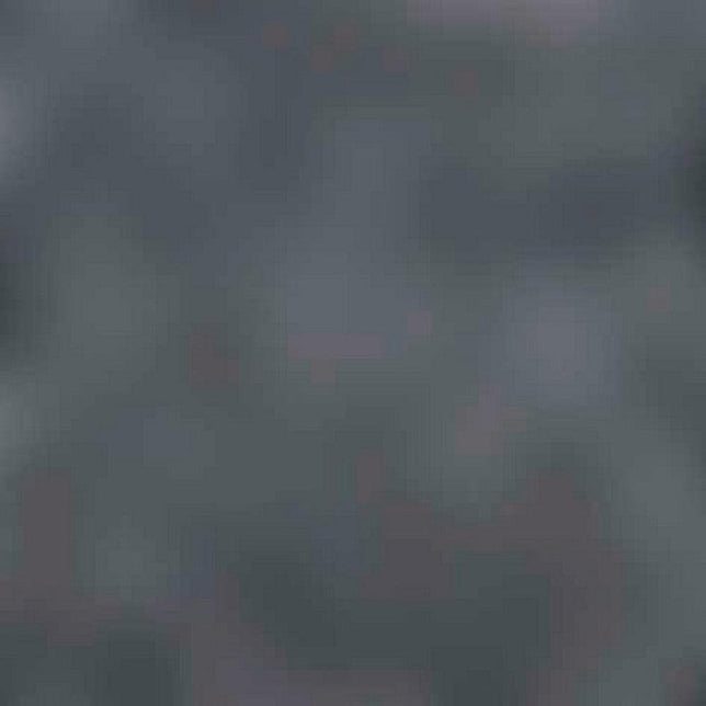 Falke Heren Sokken Family SO 14645 - Jambelles