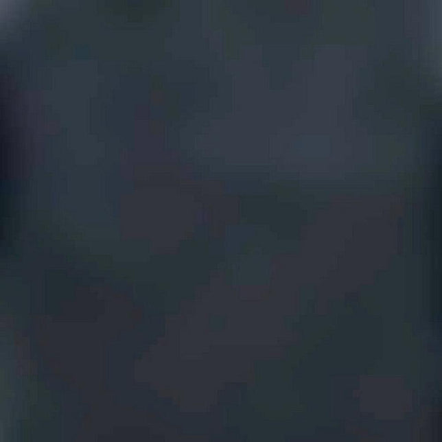 Falke Heren Sokken Family SO 14645 - Jambelles