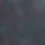 Falke Heren Sokken Fine Shadow 13141 - Jambelles