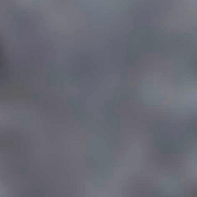 Falke Heren Sokken Fine Shadow 13141 - Jambelles