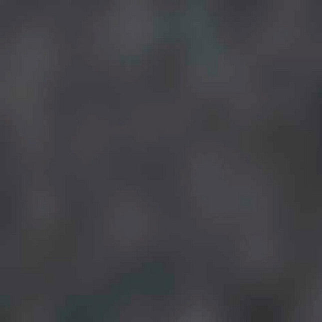 Falke Heren Sokken Sensitive Berlin 14416 - Jambelles