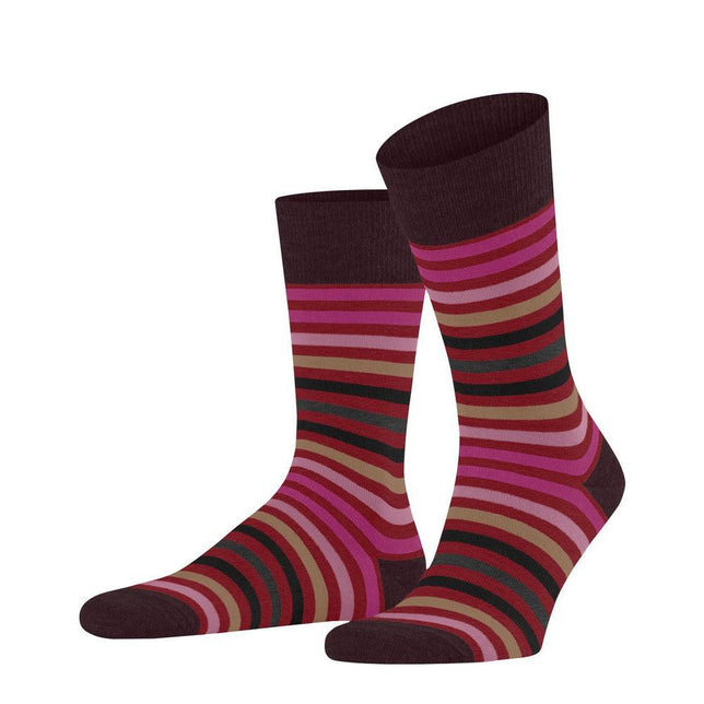 Falke Heren Sokken Tinted StripeSO 13279 - Jambelles