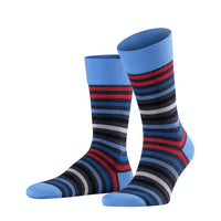 Falke Heren Sokken Tinted StripeSO 13279 - Jambelles