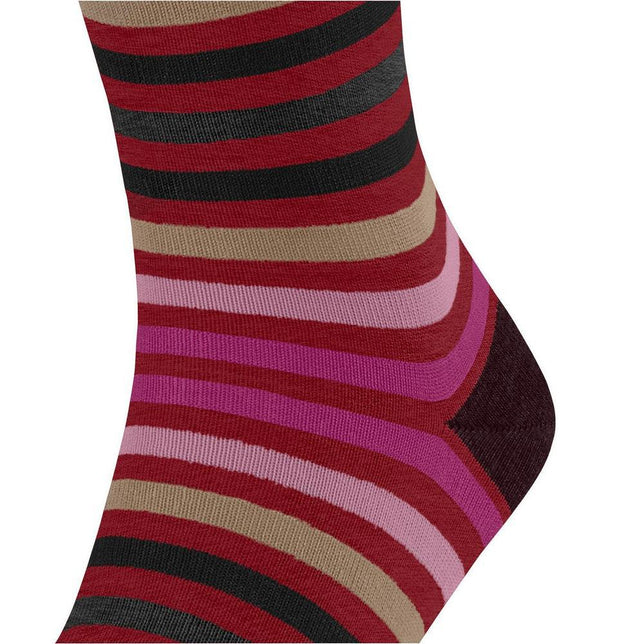 Falke Heren Sokken Tinted StripeSO 13279 - Jambelles
