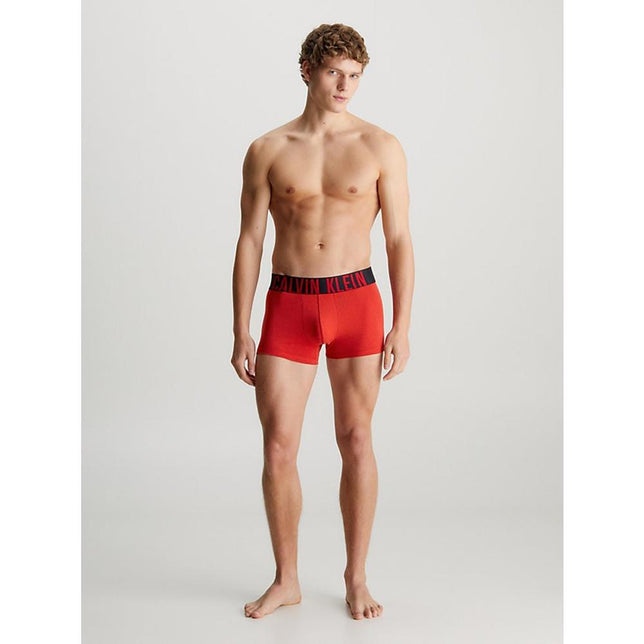 Heren Boxer Trunk 3-Pack 000NB3608A - Jambelles