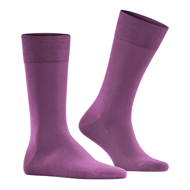 Heren Sokken FALKE Cool 24/7 SO 13297 - Jambelles