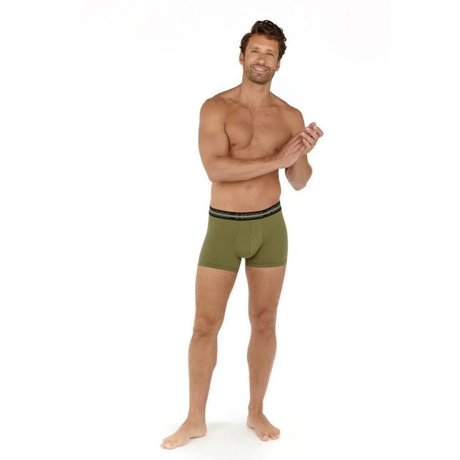 Boxer Briefs 3P Bernie #2 402142