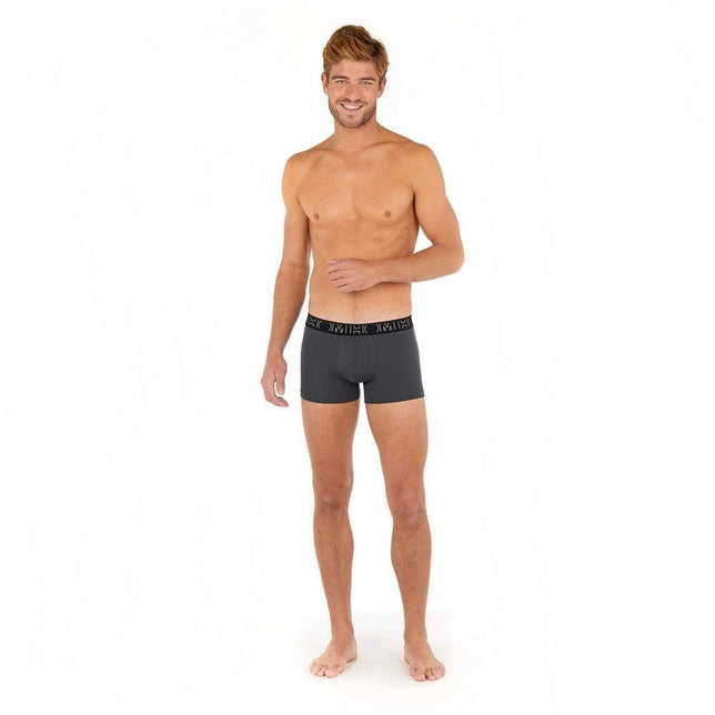 Hom Heren Boxer Briefs 3P 402436 - Jambelles