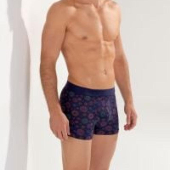 Hom Heren Boxer Briefs HO1 - Spectra 402954 - Jambelles