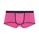 Hom Trunk HO1 Plume Up 402373 - Jambelles