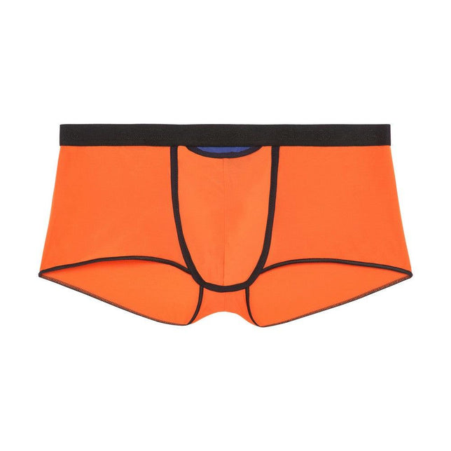 Hom Trunk HO1 Plume Up 402373 - Jambelles