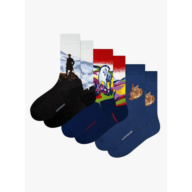 Kunstsokken Dames &amp; Heren Fantasie Sokken German Masters Gift Box 3-Pack Gb3-Gem - Jambelles