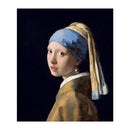 Kunstsokken Dames &amp; Heren Fantasie Sokken Girl With the Pearl CH-GWP - Jambelles