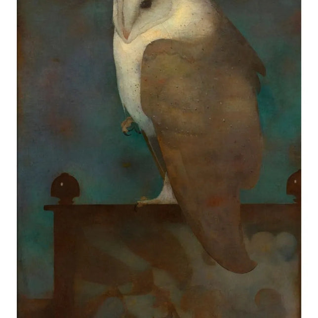 Ch-Los fantasiesokken voor dames en heren met grote bruin-witte uil op een blauwgroene achtergrond. - Jambelles