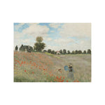 Kunstsokken Dames &amp; Heren Fantasie Sokken Poppy Field POPF01 - Jambelles