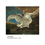 Kunstsokken Dames &amp; Heren Fantasie Sokken Threatened Swan CH-THS - Jambelles