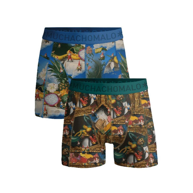 Men 2-Pack Boxer Shorts Fruit Life FRUITLIFE1010