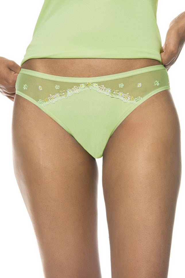 mini-briefs1120046_1223pistachiocream_1