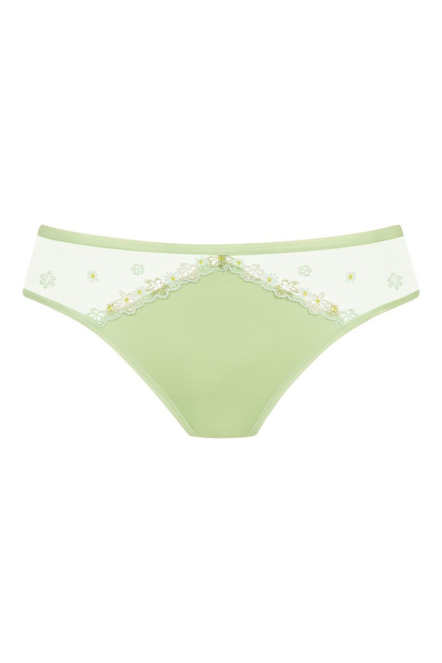mini-briefs1120046_1223pistachiocream_3