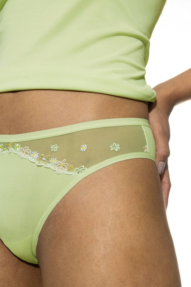 mini-briefs1120046_1223pistachiocream_4