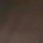 Shap. Panty 20TI 40512 - Jambelles