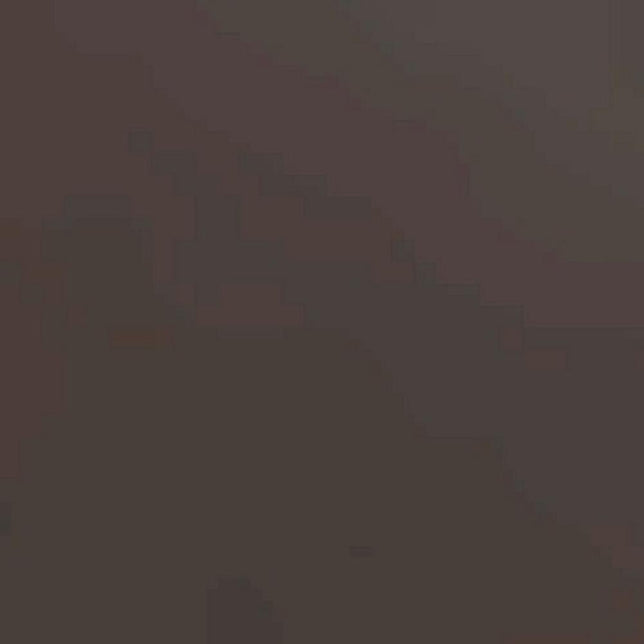 Shap. Panty 20TI 40512 - Jambelles