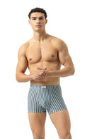 shorty2120130_1709greyhunter_3