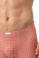 shorty2120205_1764coralisland_4