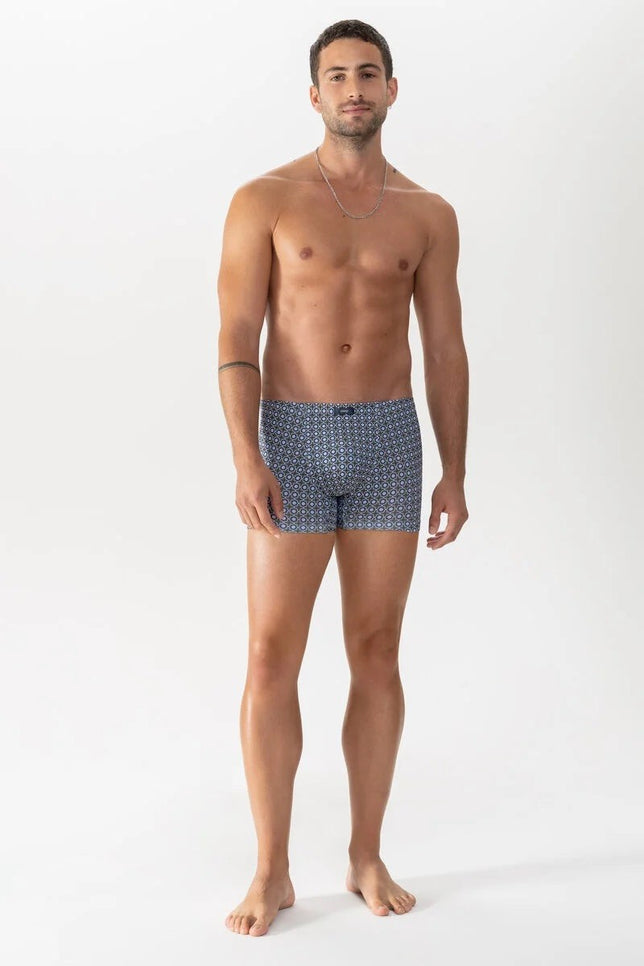 shorty37366_580salvia_3