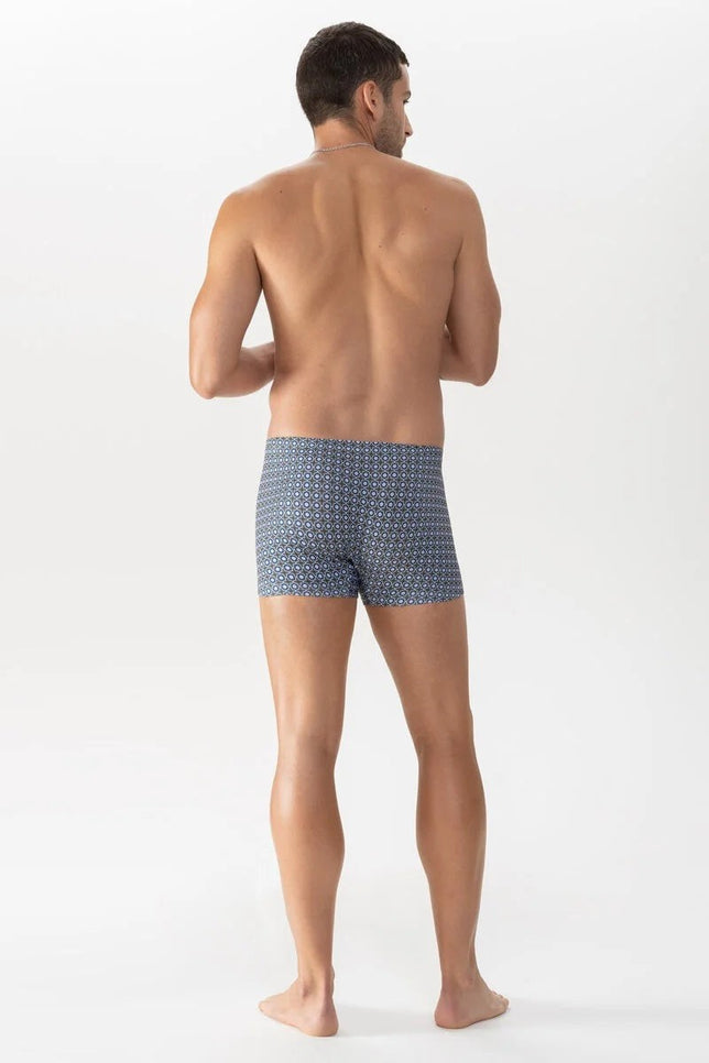shorty37366_580salvia_4