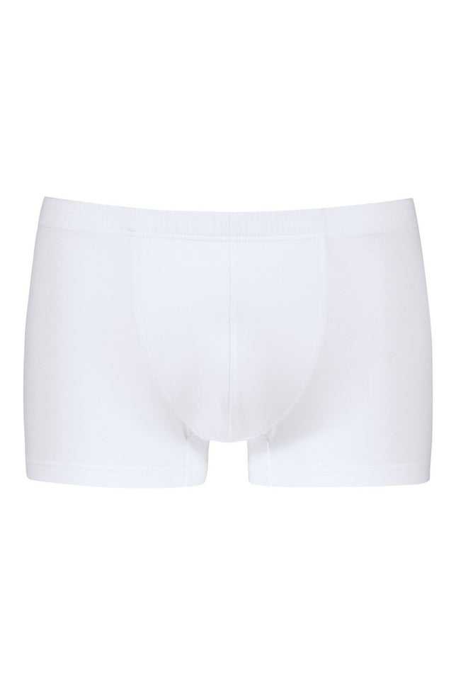 shorty37386_1wit_1